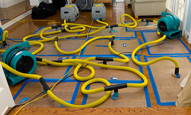 Professional Crawl Space Water Removal technician working in Chico, TX